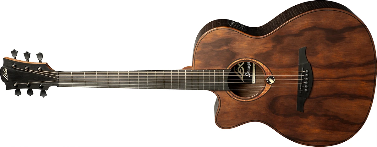 Lag Sauvage-L-ACE Auditorium